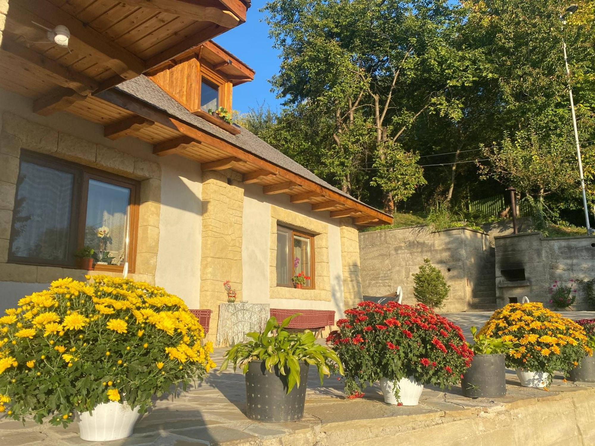 Вилла Casa Cu Sindrila Вэлени-де-Мунте Экстерьер фото